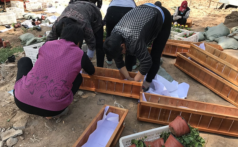 施工案例23